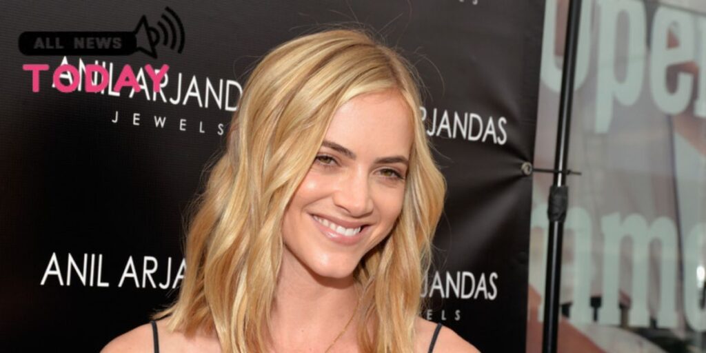 emily wickersham net worth